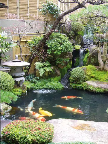 Höhepunkte Japans erleben
