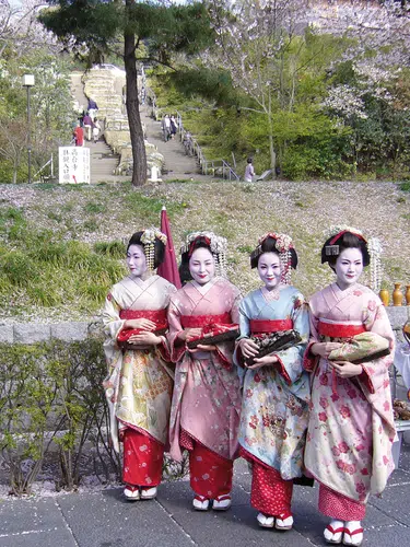 Höhepunkte Japans erleben