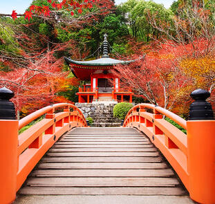 Höhepunkte Japans erleben