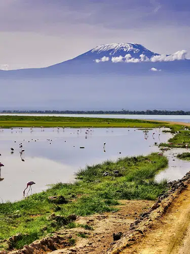 Kenia ─ grenzenloses Tierparadies