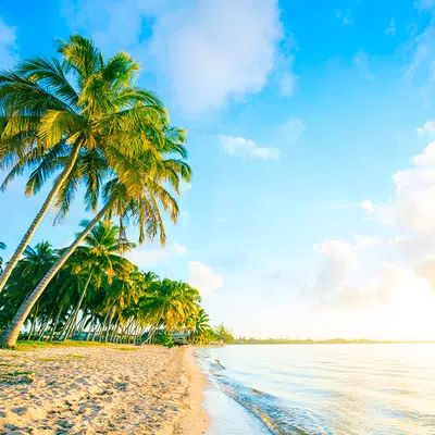 »Isla Majagua«