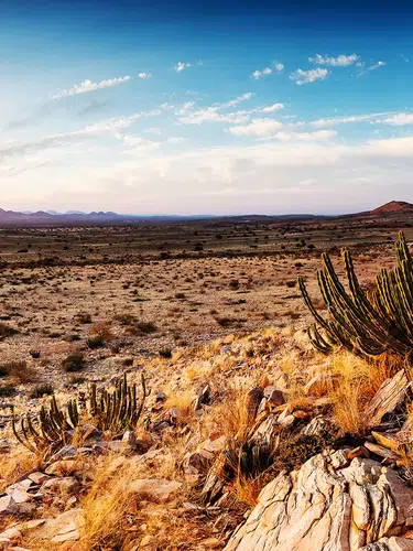 Wüstenzauber Namibias