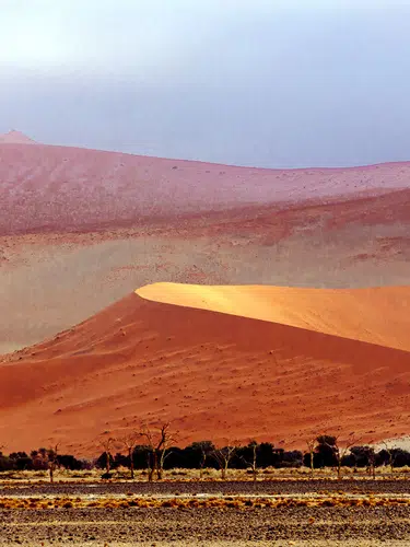 Wüstenzauber Namibias