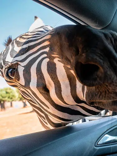 Namibia ausführlich entdecken für Selbstfahrer
