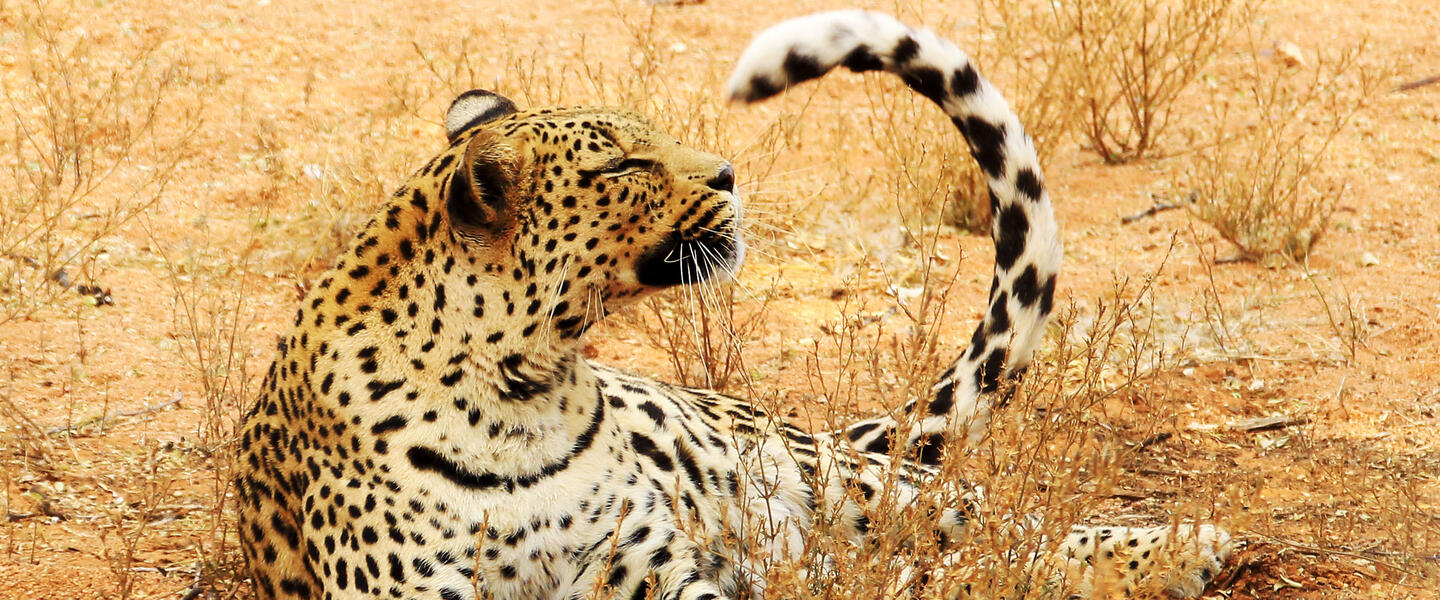 Tierparadies Kavango-Zambezi Tierparadies Kavango-Zambezi