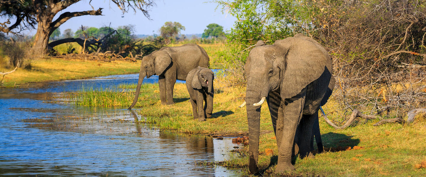 Tierparadies Kavango-Zambezi Tierparadies Kavango-Zambezi