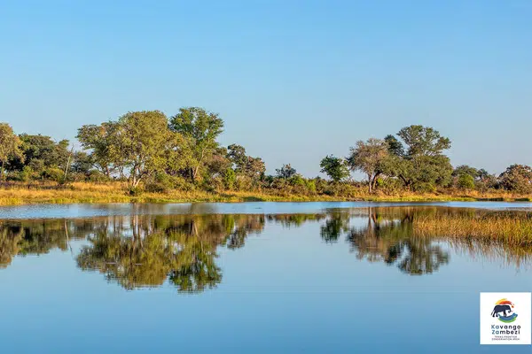 Tierparadies Kavango-Zambezi
