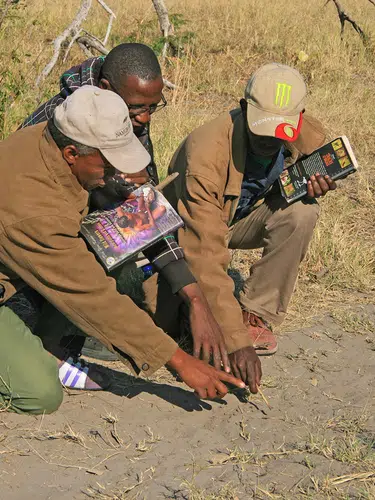 Tierparadies Kavango-Zambezi