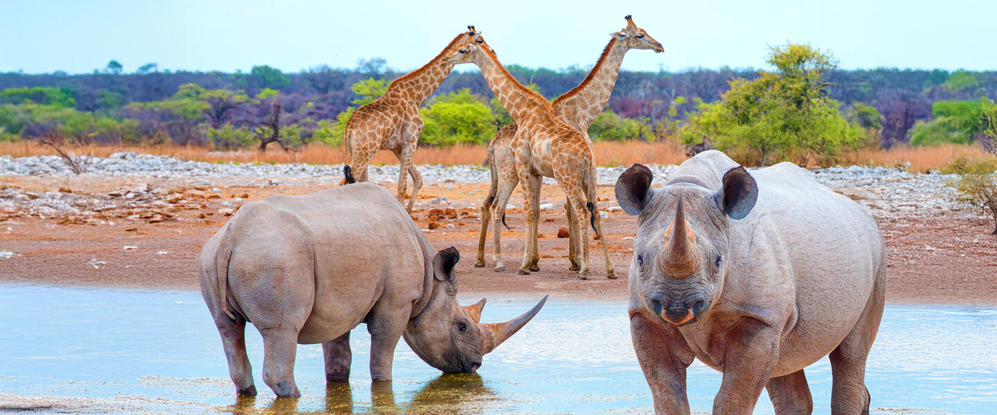 Namibia - von Windhoek zu den Victoria-Fällen privat Namibia - von Windhoek zu den Victoria-Fällen privat