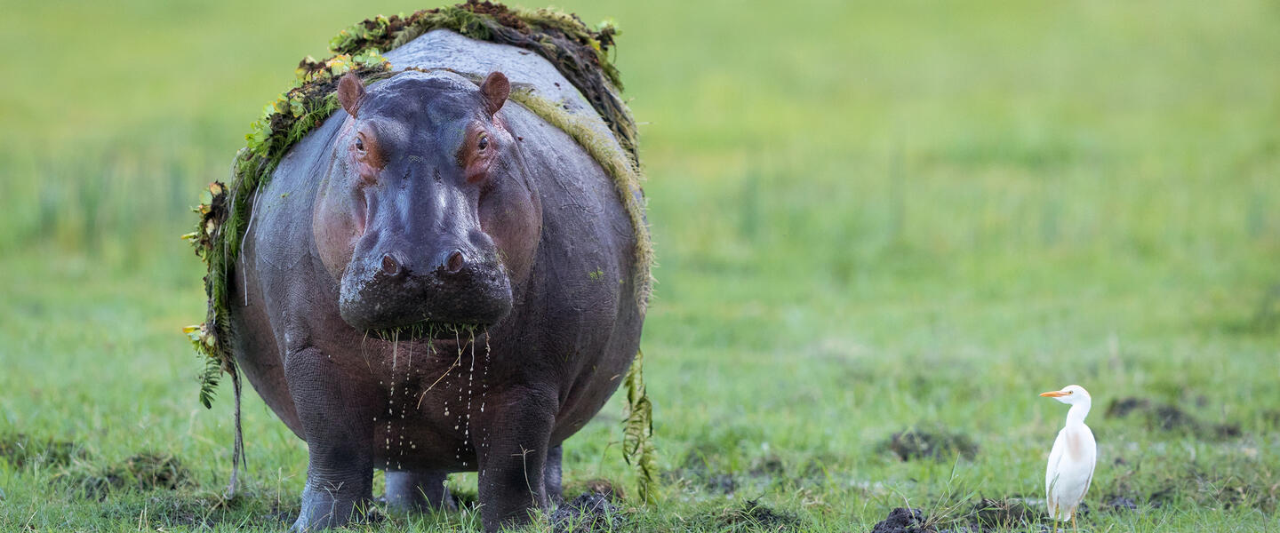 Namibia - von Windhoek zu den Victoria-Fällen privat Namibia - von Windhoek zu den Victoria-Fällen privat