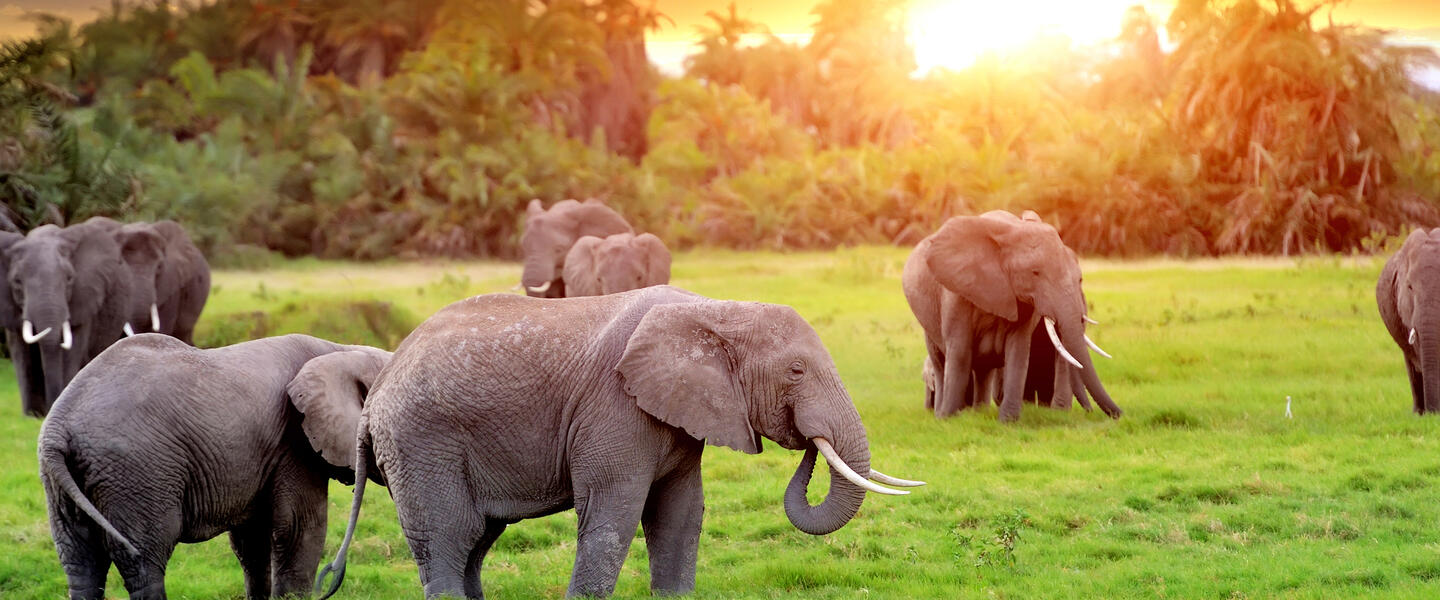 Südafrika: vom Krüger-Nationalpark bis an die Küste