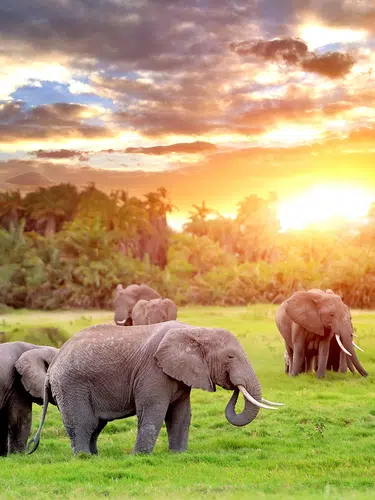 Südafrika: vom Krüger-Nationalpark bis an die Küste