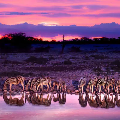 Safarierlebnis Krüger-Nationalpark