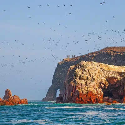 Paracas - Wüste und Meer