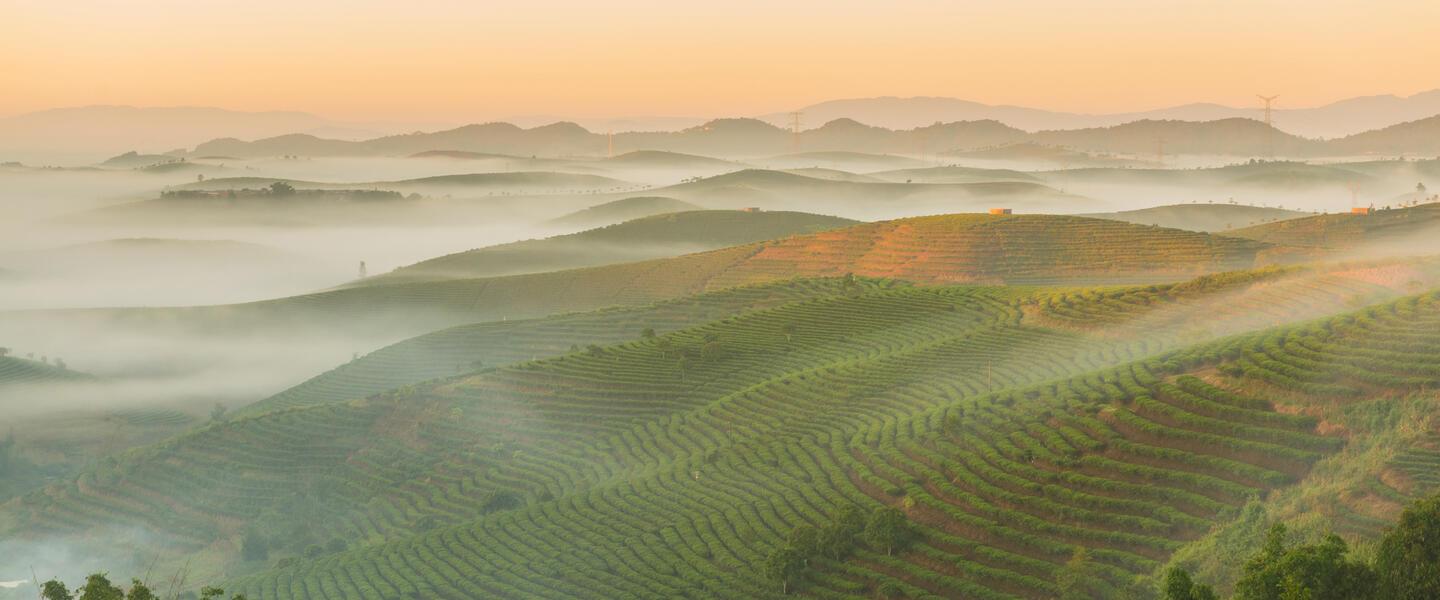 Chinas verborgene Pfade - Auf den Spuren der Tee-Pferde-Straße