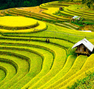 Charmantes Indochina für Genießer