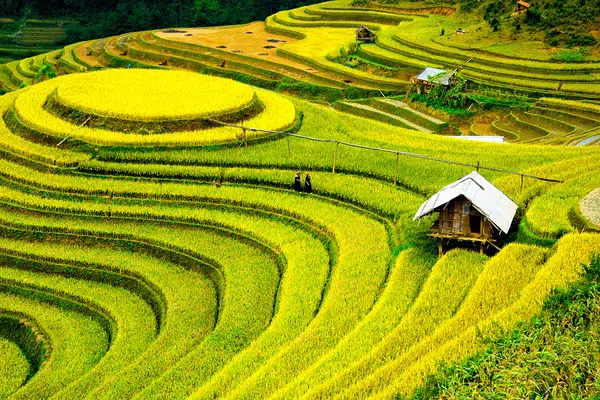 Vietnam facettenreich entdecken