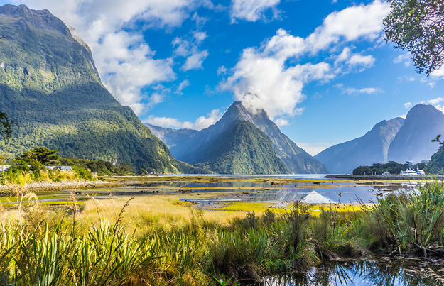 Neuseeländische Impressionen für Selbstfahrer