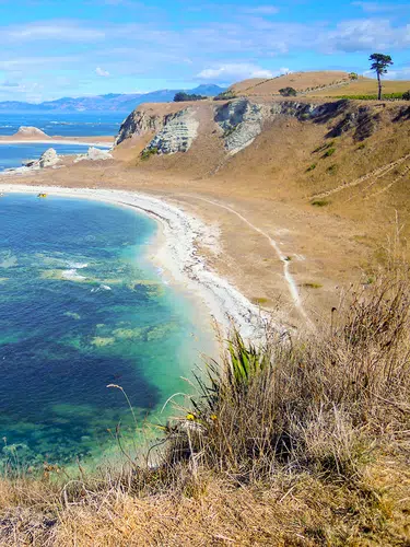 Kaikoura ─ den Walen ganz nah