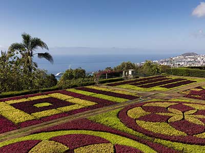 Wanderreise Madeira Funchal Park