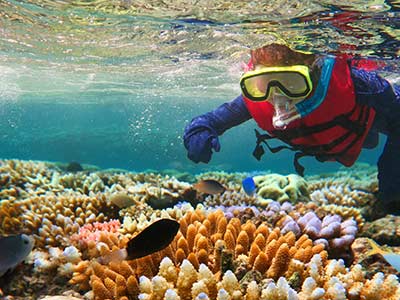 Rundreise Australien Great Barrier Reef