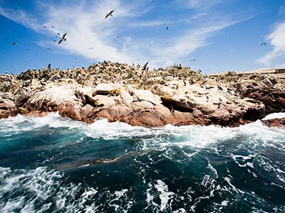 Rundreise Peru Ballestas Inseln