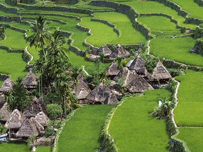 Philippinen Reisterrassen