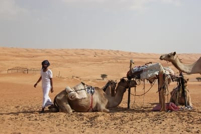 Oman Reisebericht von Stephan Michael