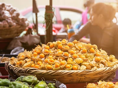 Früchte aus Peru