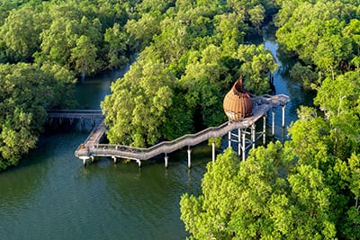Sungei Buloh Nationalpark