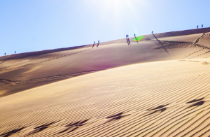 Namibia Gruppenreise Wüste