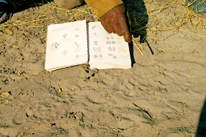 Namibia - Spurenleser der Khwe