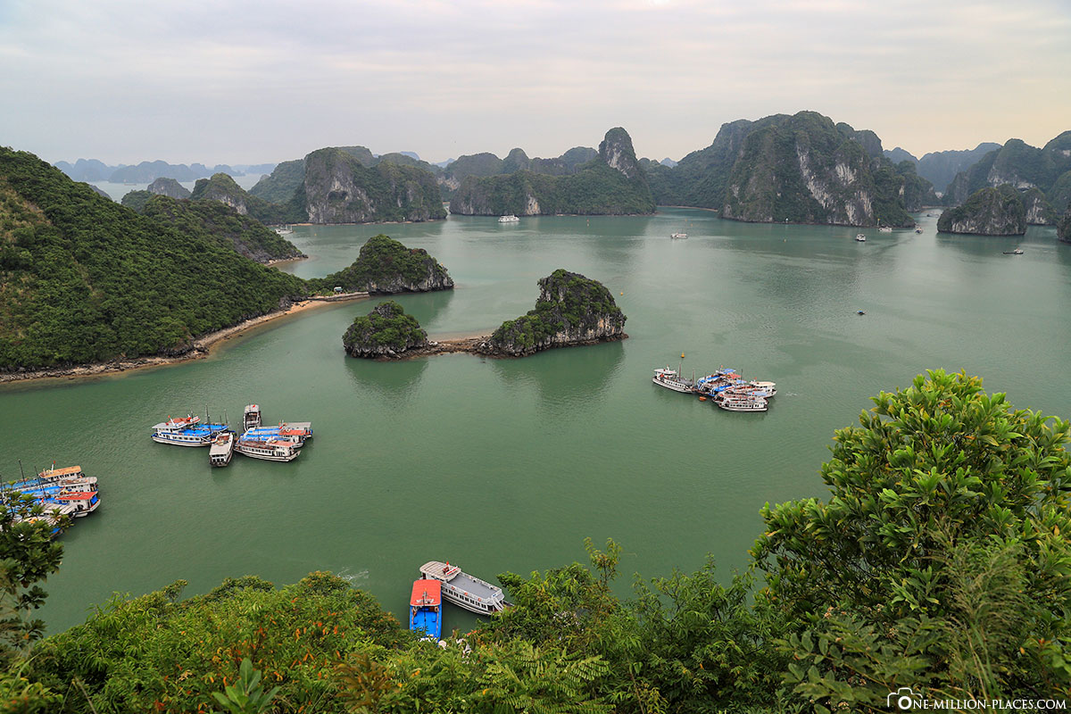 Reisebericht Vietnam - Halong Bucht