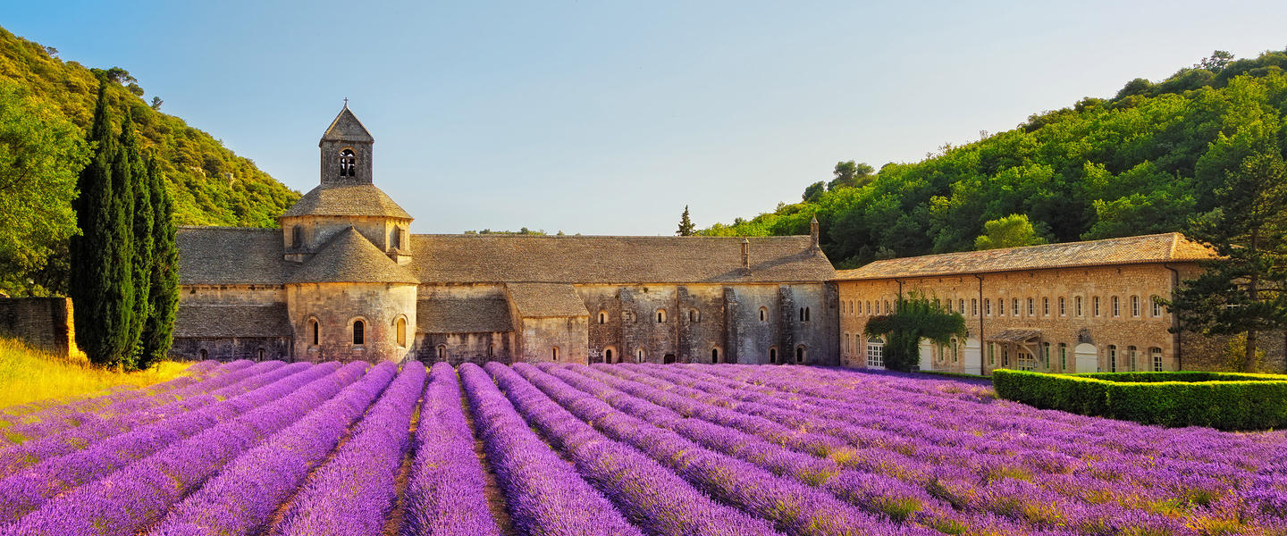 Gruppenreise Frankreich: Lavendel Provence