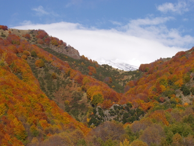 Gruppenreise Italien - Sizilien im November