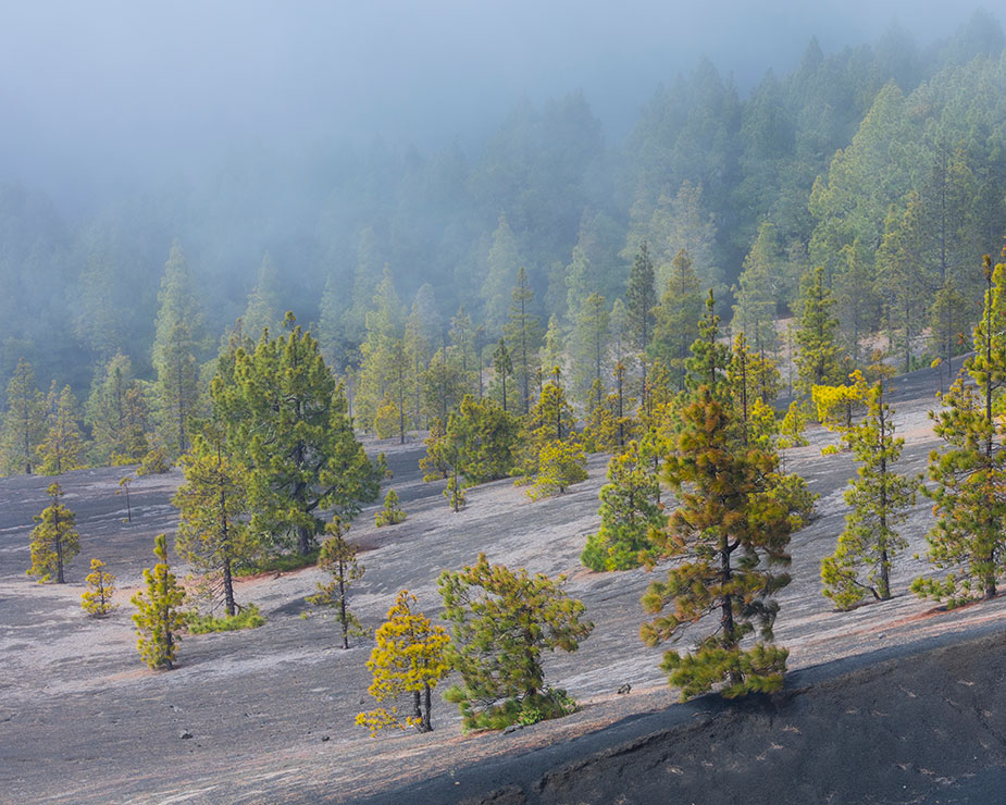 Die Kanaren im Herbst