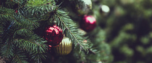 Bild zum Artikel "4 Weihnachtsbräuche aus aller Welt"