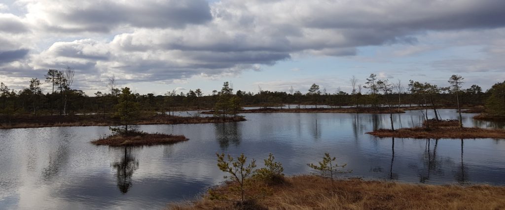 Lettland-Gebeco-Moor