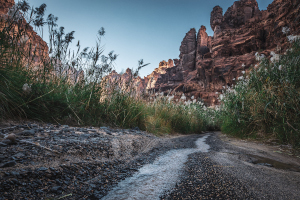 Saudi-Arabien_Tabuk_Wadi Al Dissa