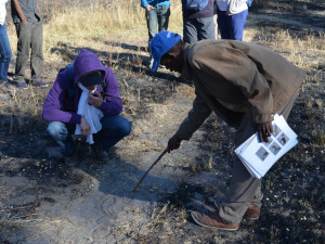 Khwe bei der Spurensuche in Namibia | Gebeco