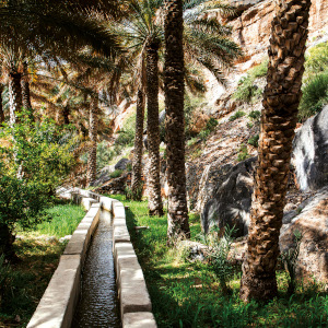 Ein typischer Aflaj in Oman | Gebeco