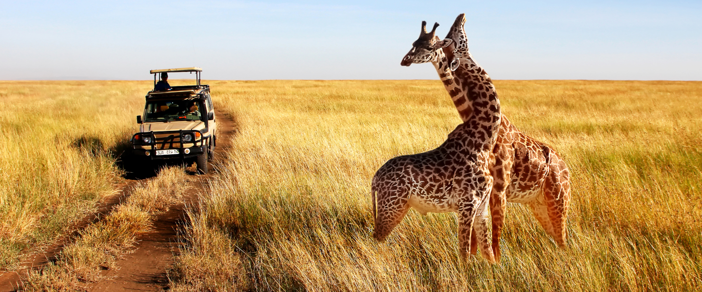 Bild zum Artikel "Eine Traumreise durch Botswana und Simbabwe"