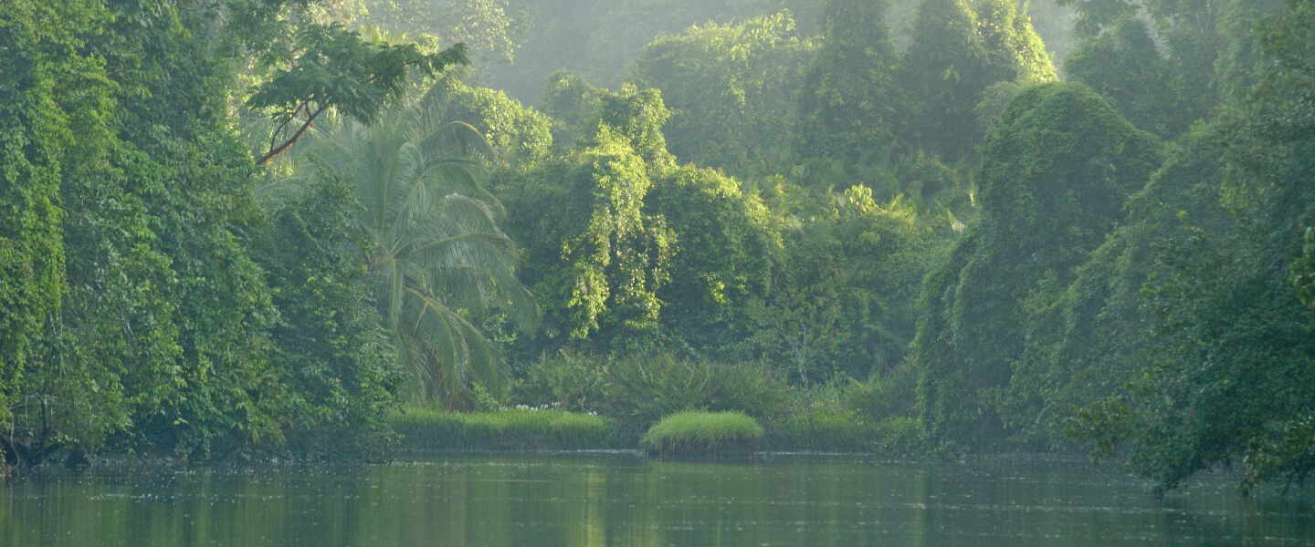 Corcovado Nationalpark