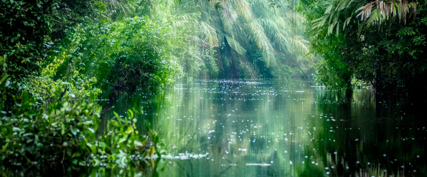 Tortuguero-Nationalpark