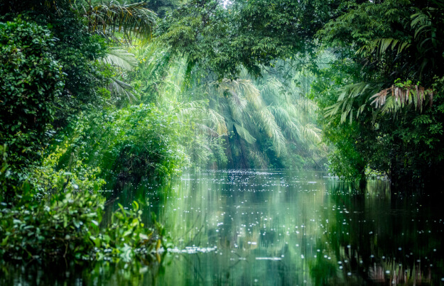 Zu den Informationen über Tortuguero-Nationalpark