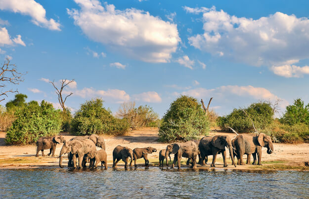 Zu den Ländertipps für Botswana