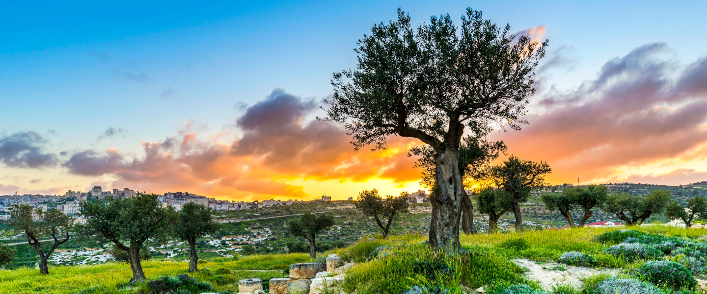 Bethlehem