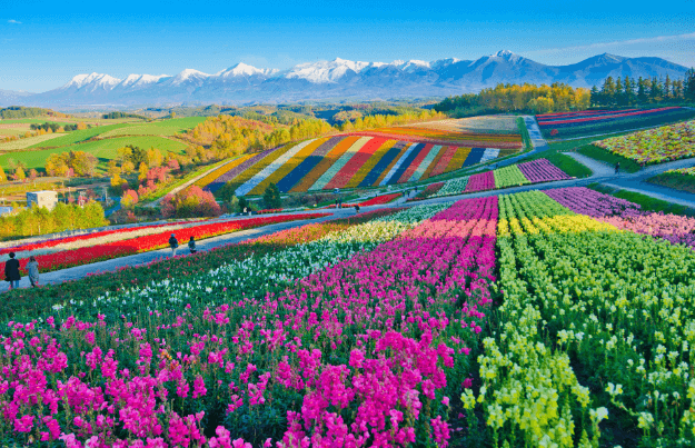 Hokkaido in Japan | Gebeco