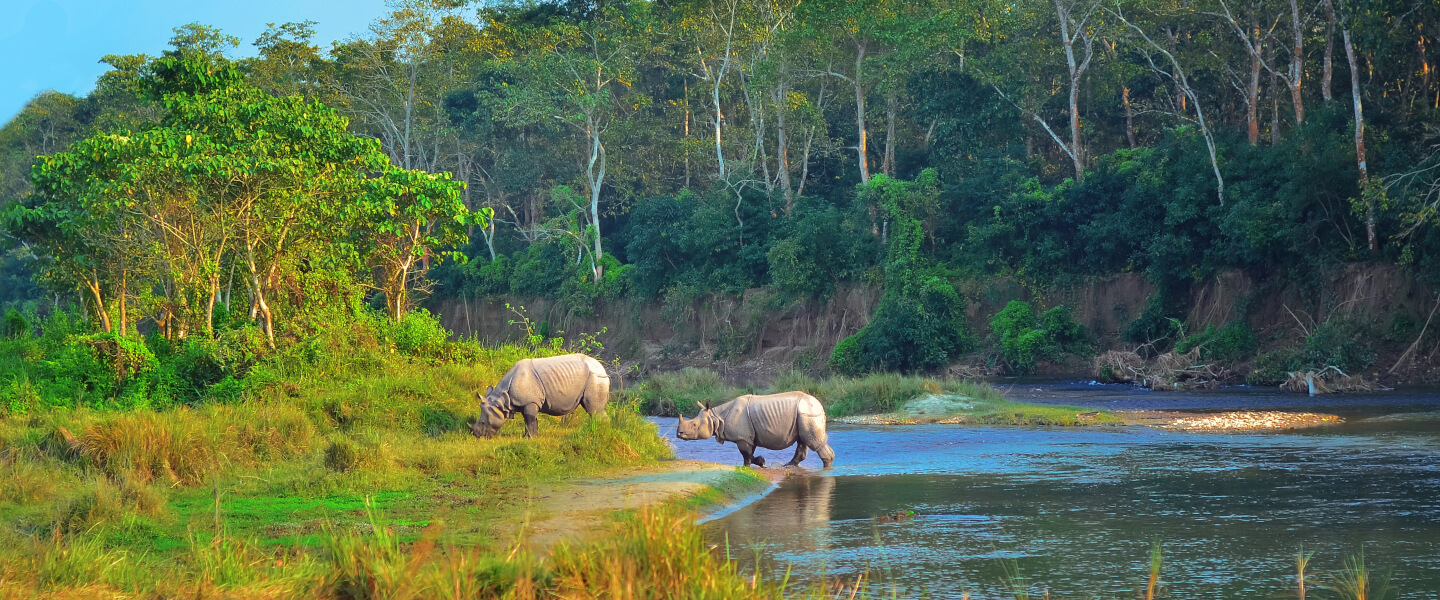 Chitwan Nationalpark