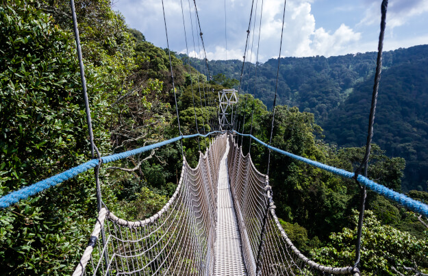 Zu den Ländertipps für Ruanda